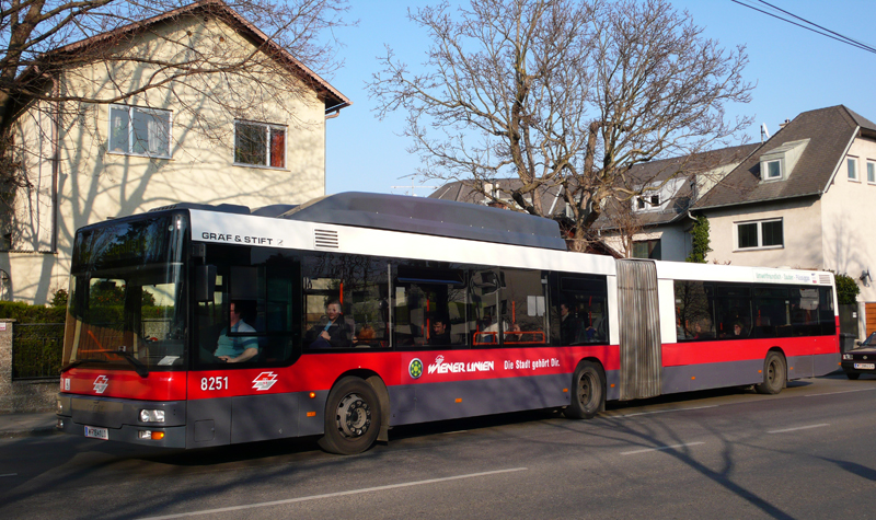 66A 8251