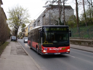 58B_Maxingstraße_240308