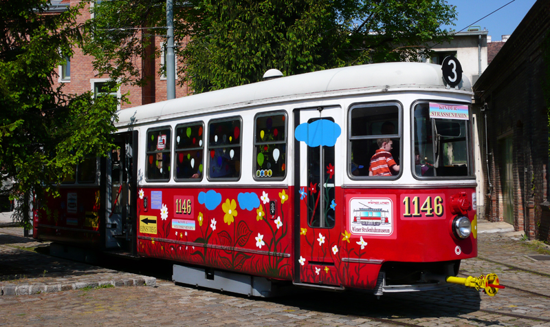 c3 1146