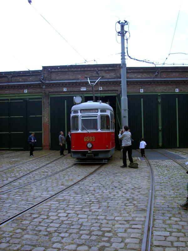 Museum 5