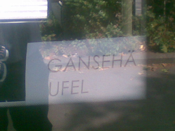 Bäderbus Gänsehäufel 2