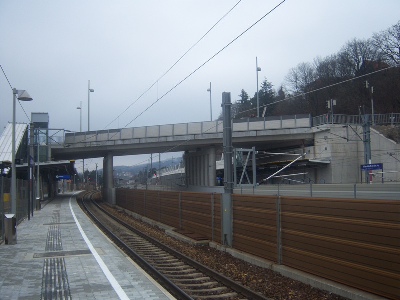 Wien Wolf in der Au 6
