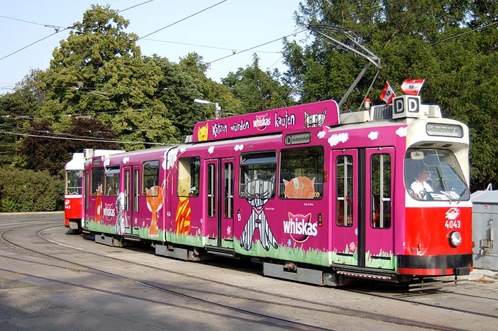 Bild 03