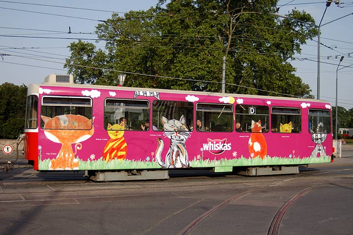Bild 04