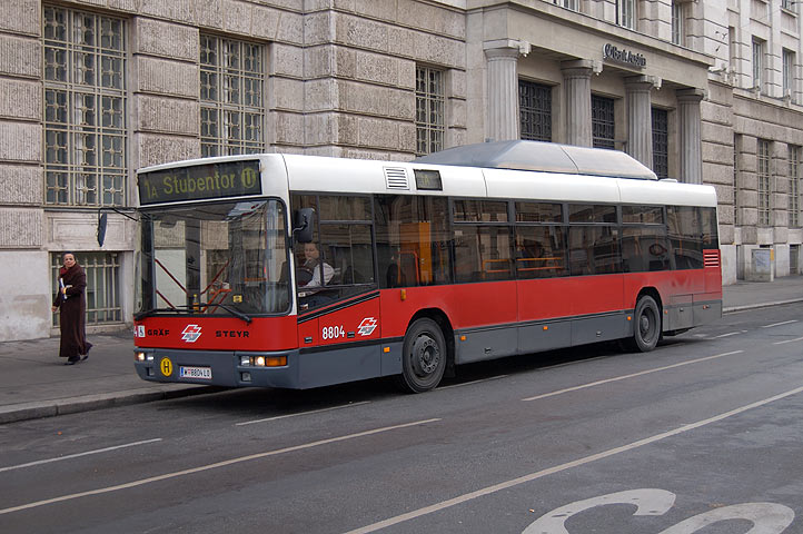 Bild 004