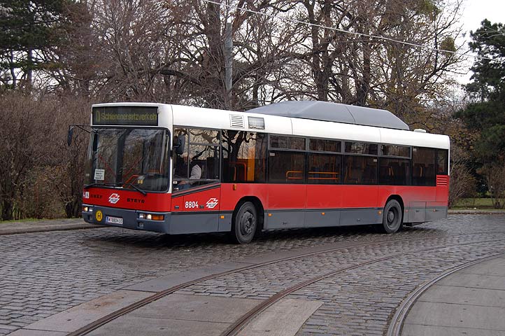 Bild 031