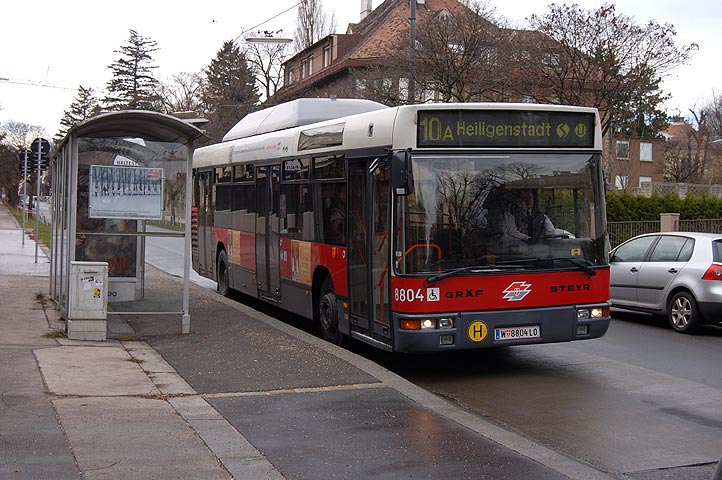 Bild 065