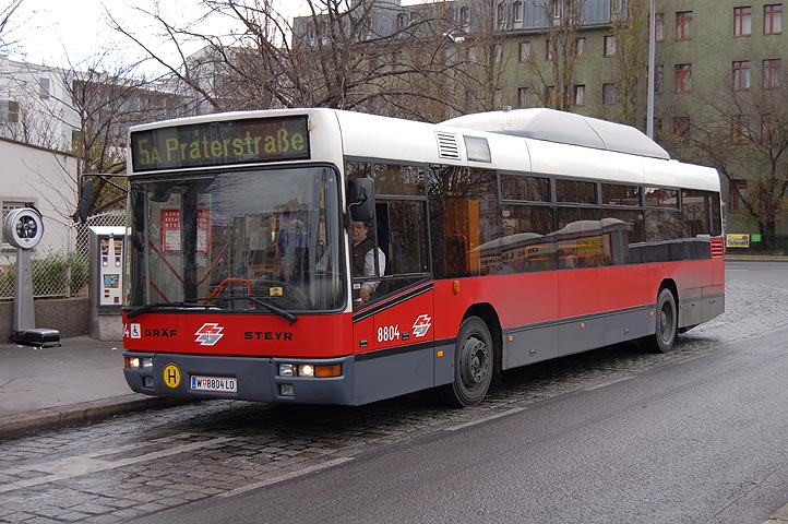 Bild 077