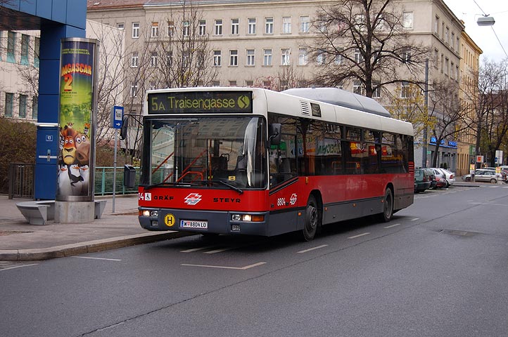 Bild 081