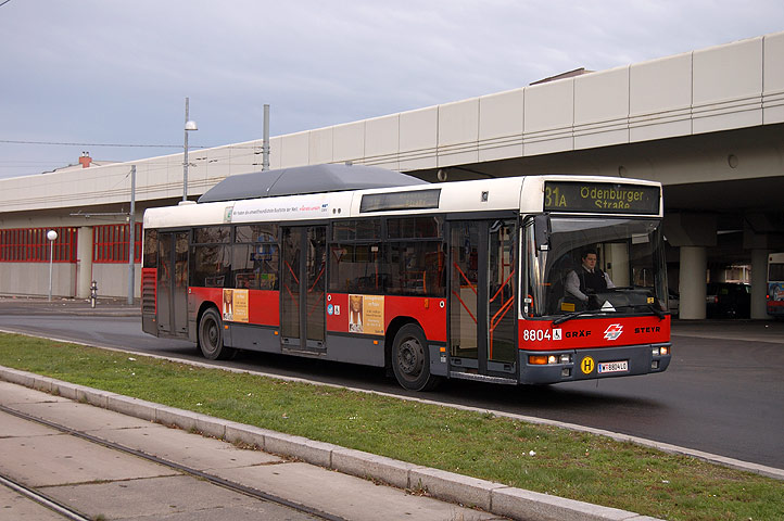 Bild 107