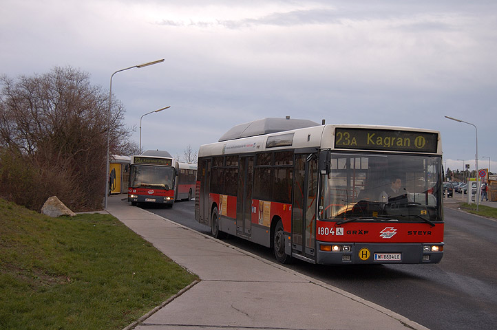 Bild 117