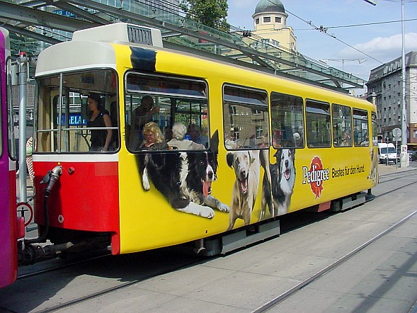 Bild 01