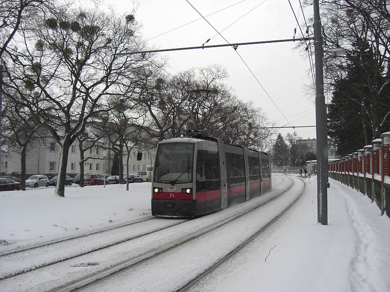 Winter 2009 6