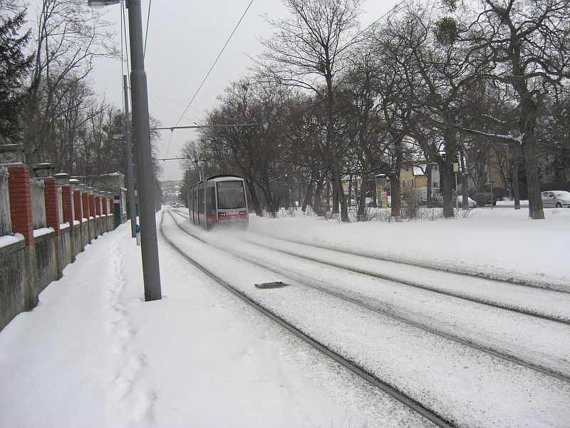 Winter 2009 7