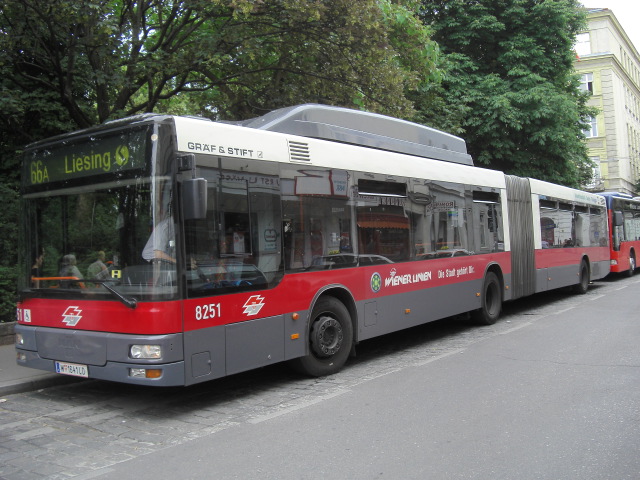 Nächstes Bild