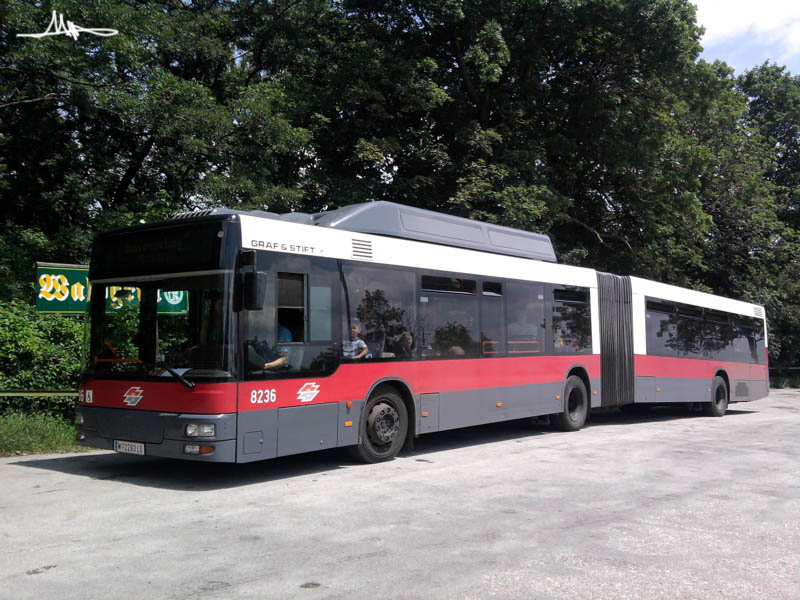 2009/06/25 | Cobenzl, Parkplatz | 8236 002