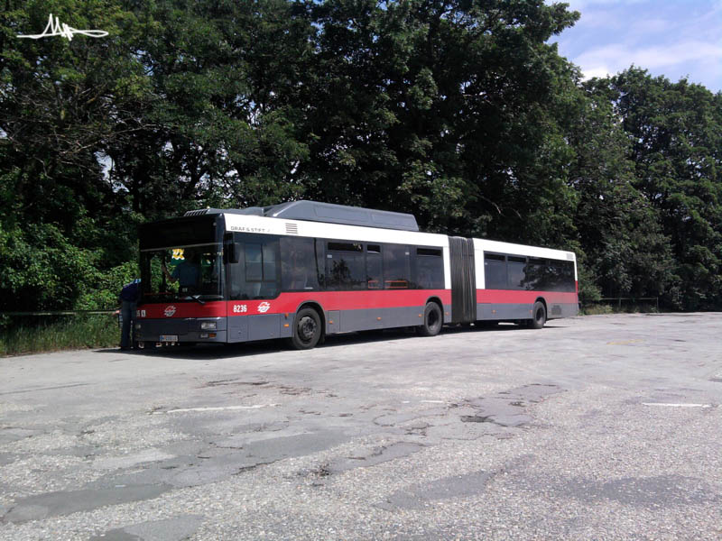 2009/06/25 | Cobenzl, Parkplatz | 8236 003