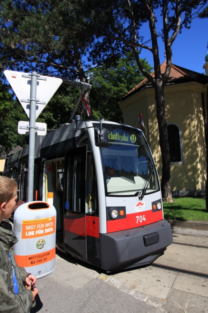 ulfb1
