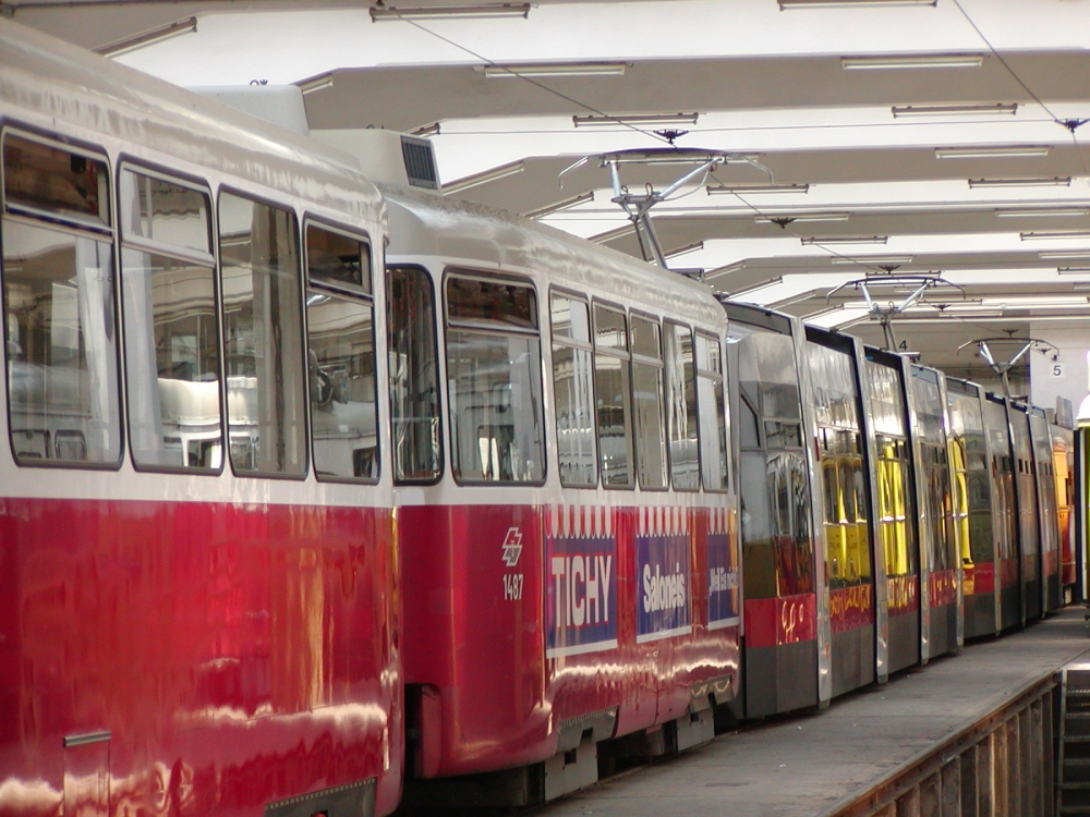 c5 1487