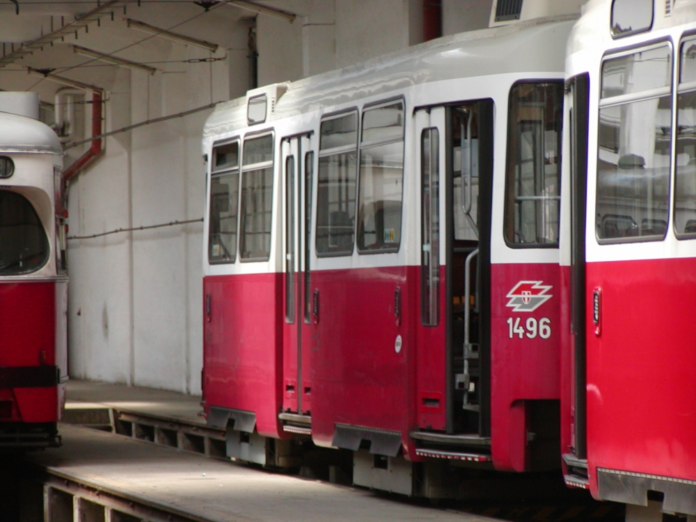 c5 1496