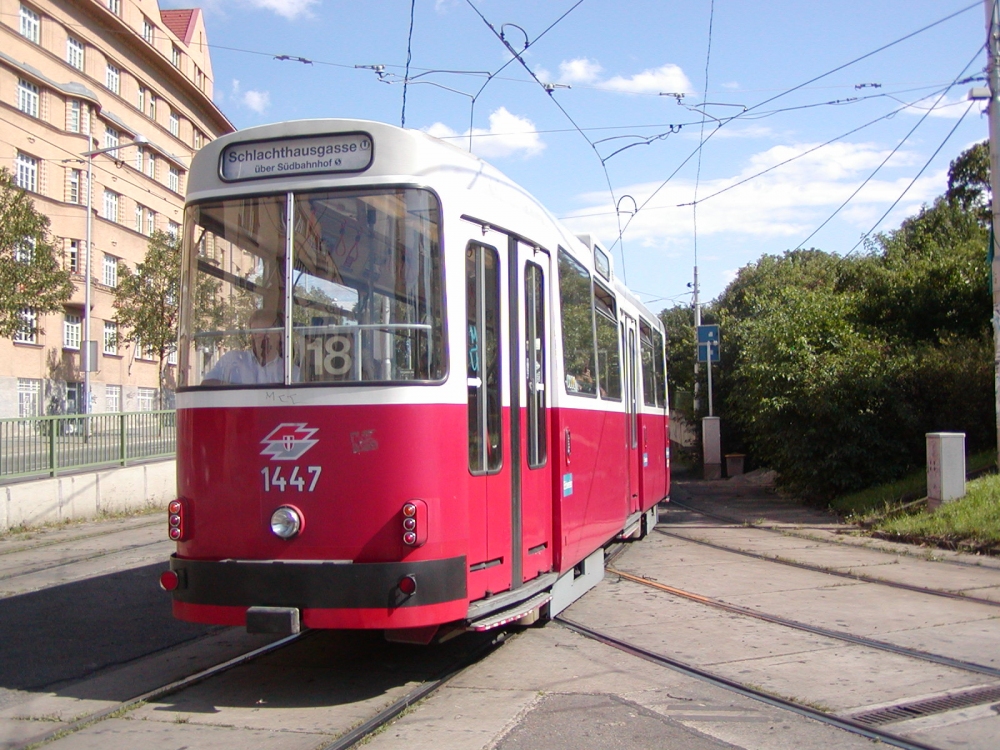 c5 1447