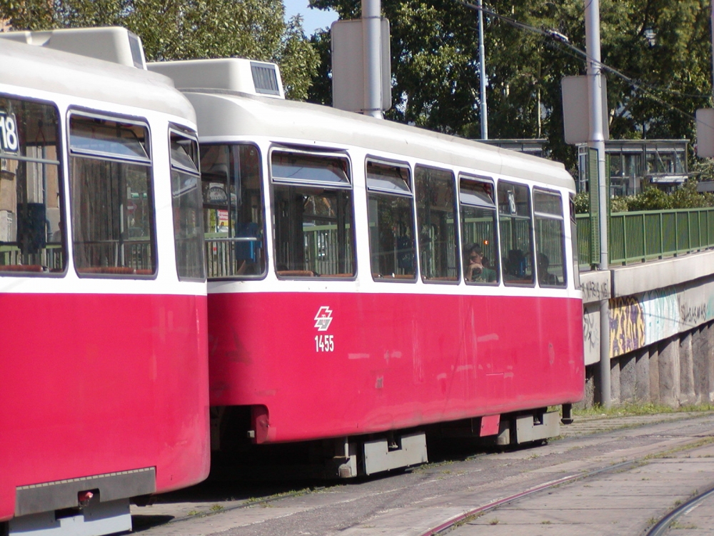 c5 1455