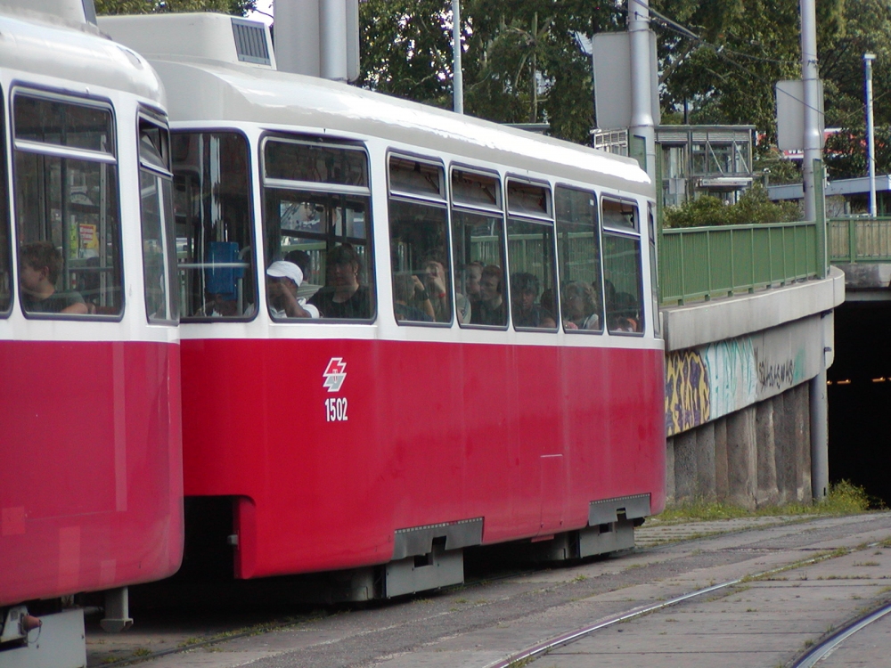 c5 1502