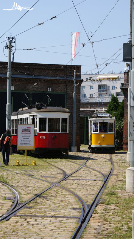 2009/08/01 | Aktionstag im Wiener Straßenbahnmuseum 12