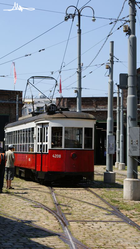 2009/08/01 | Aktionstag im Wiener Straßenbahnmuseum 16