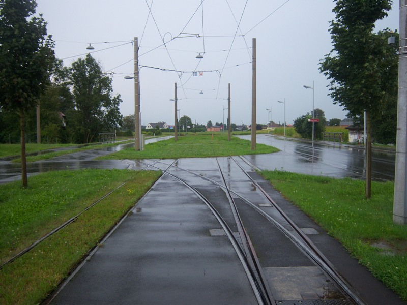 Linz 2009 7