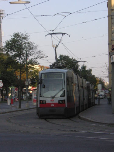 36 (1)