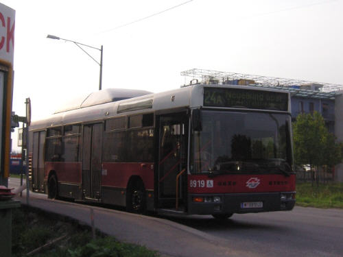 8919 (1)