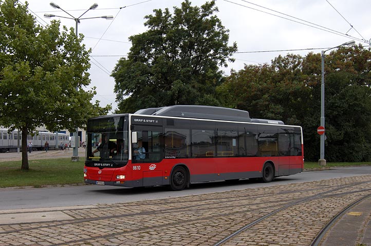 Bild 066