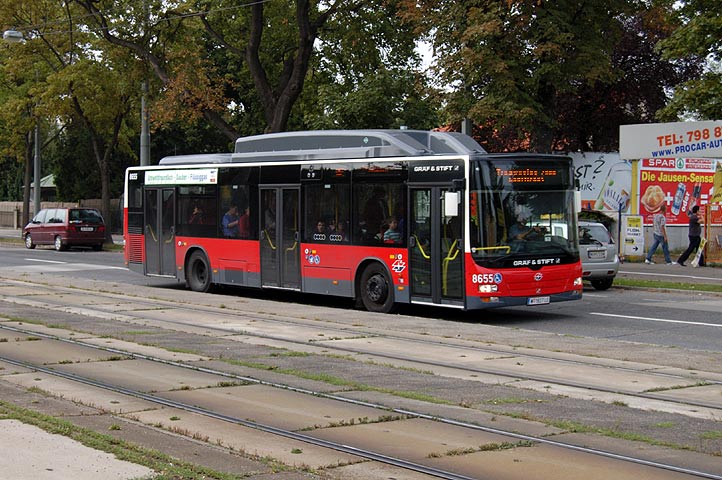 Bild 078