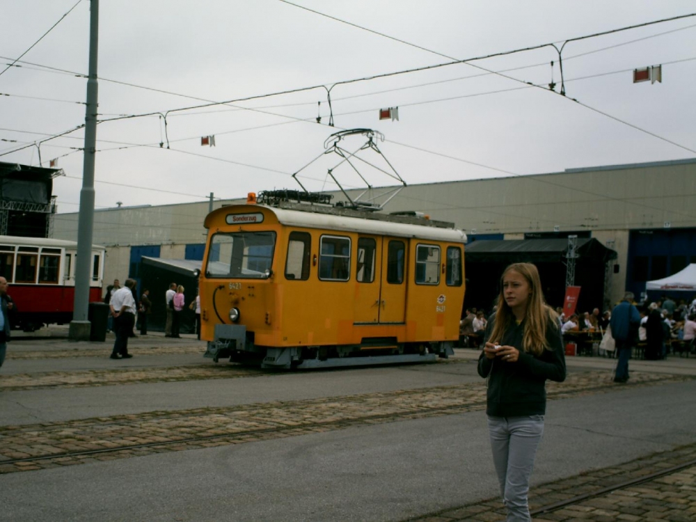 Tramwaytag 2009 8