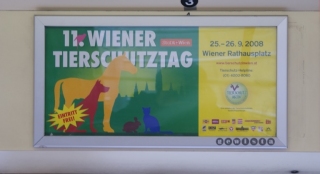 2009/10/31 | Werbeplakat für den Wiener Tierschutztag 2008 im 4007