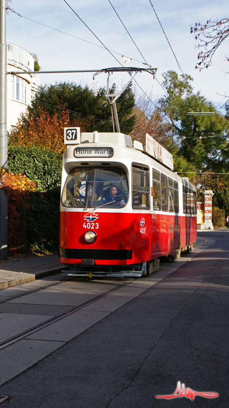 2009/11/15 | 37 (Döblinger Bad) | 4023 mit neuem WL-Emblem - Bild 02