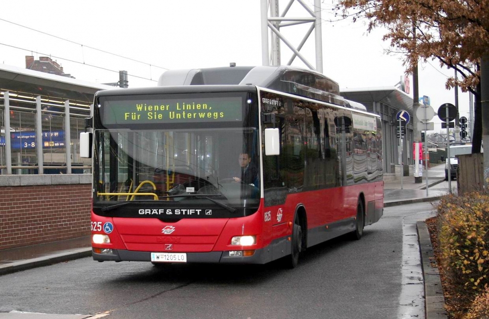 Nächstes Bild