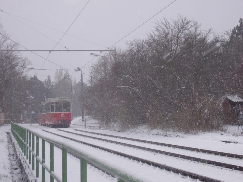 c5 1460 + E2 4060 auf Linie 60