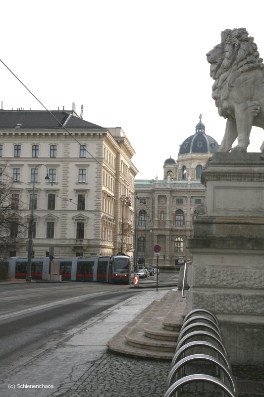 Reichsratsstraße 3 7