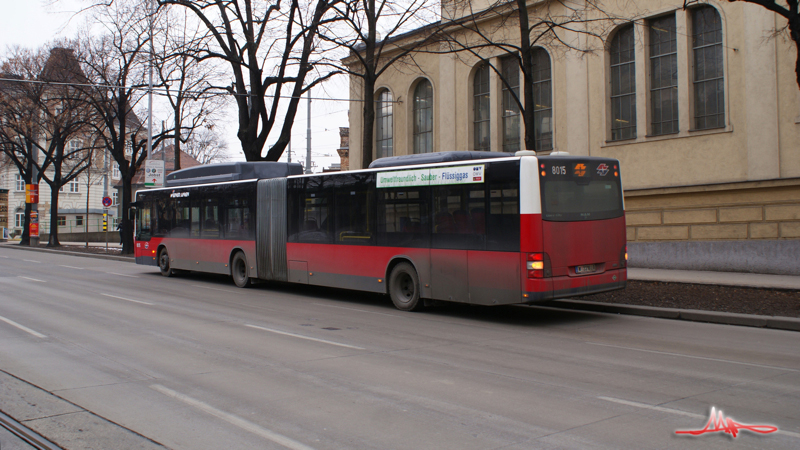 2010/02/09 | Nußdorfer Straße | 8015 01