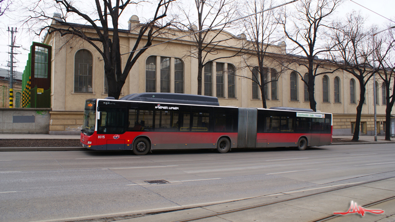 2010/02/09 | Nußdorfer Straße | 8015 02