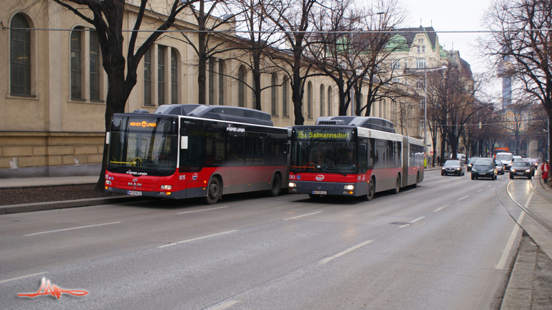 2010/02/09 | Nußdorfer Straße | 8015 03