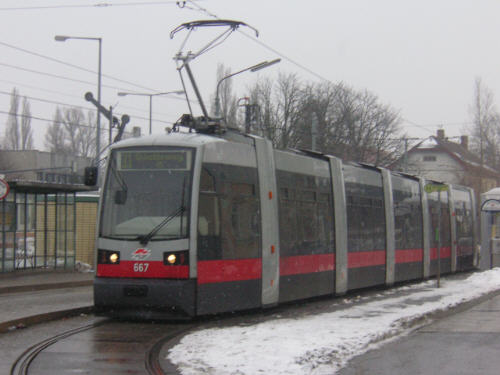 667 (1)