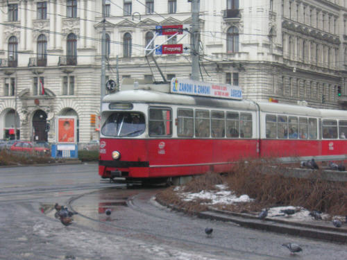4855 (1)