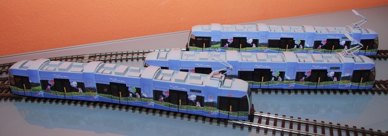 A 13, A 14 + A 51