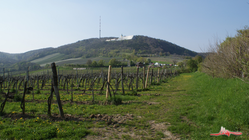 Bild 07