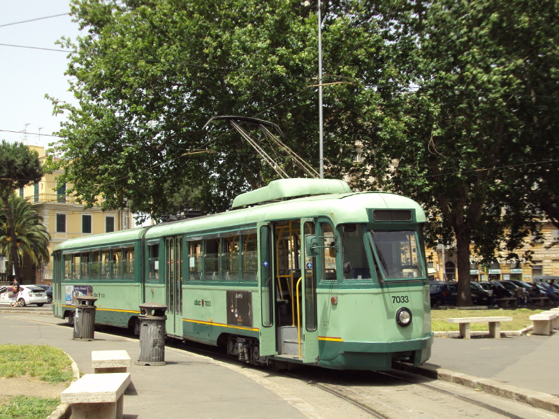 TAS 7033