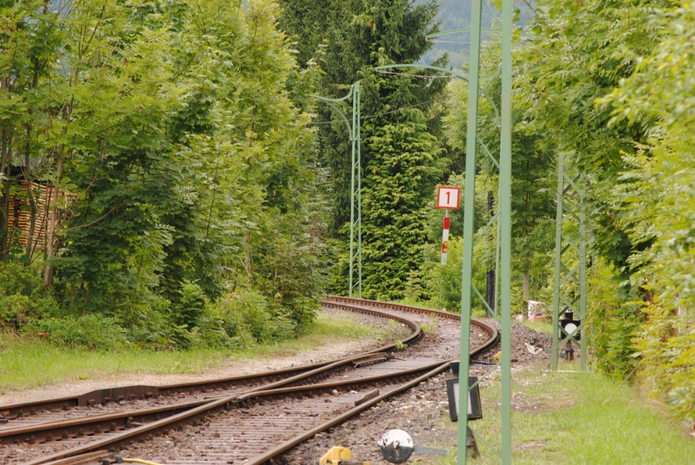 Vorheriges Bild
