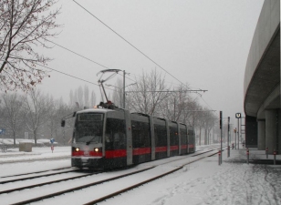 Schnee am 1. 12. 2010 in der Langobardenstraße 2